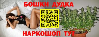 гидропоника Апшеронск