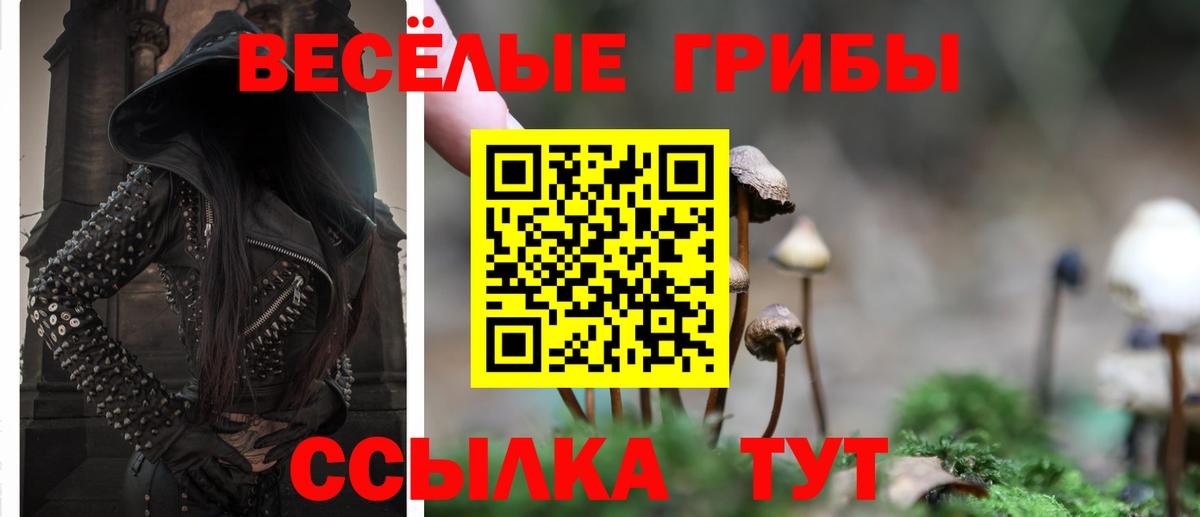 Галлюциногенные грибы MAGIC MUSHROOMS Борзя
